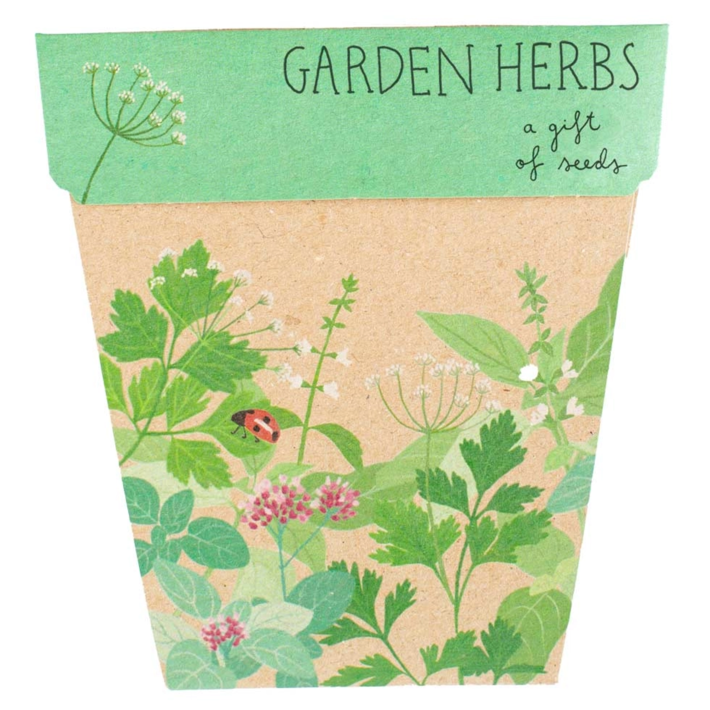 Assorted Gift of Seeds Card