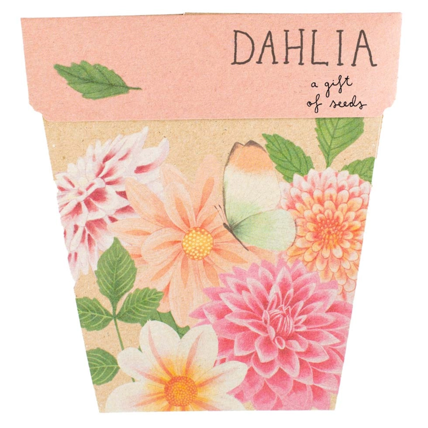 Assorted Gift of Seeds Card