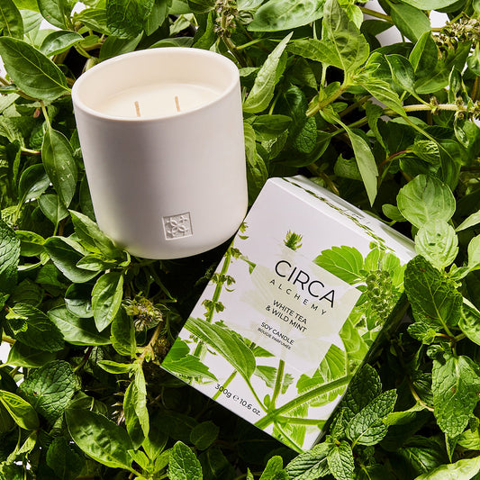 White Tea and Wild Mint Soy Candle